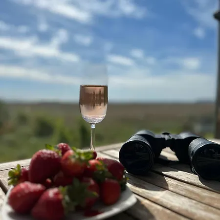 Dobrylko Ii -apartamenty レバ