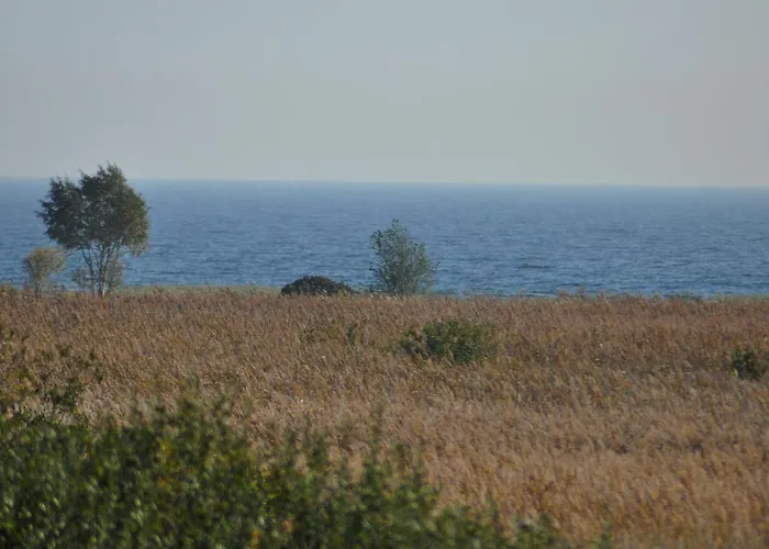 公寓 Dobrylko Ii -apartamenty 雷瓦